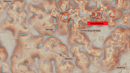 La nouvelle cité maya découverte dans l'Etat de Campeche au Mexique. (LUKE AULD-THOMAS / COLL. ANTIQUITY 2024)