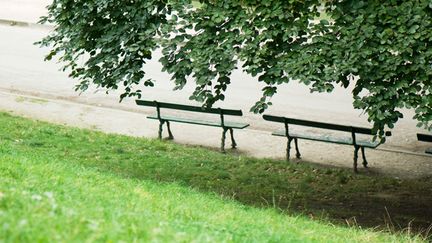  (L'explosif a été retrouvé dans un jardin public, dissimulé sous la souche d'un arbre. Photo d'illustration © Maxppp)