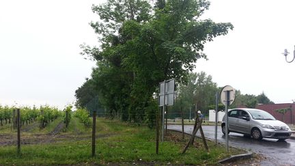 &nbsp; (les vignes jouxtent la cour du centre de loisirs de Léognan © RF-Anne-Laure Barral)