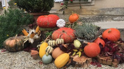 Sa belle collection ersonnelle de courges. (Laurent Mariotte)