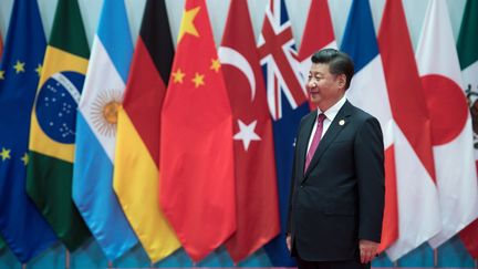 Le président chinois Xi Jinping au sommet du G20. (BERND VON JUTRCZENKA / DPA)