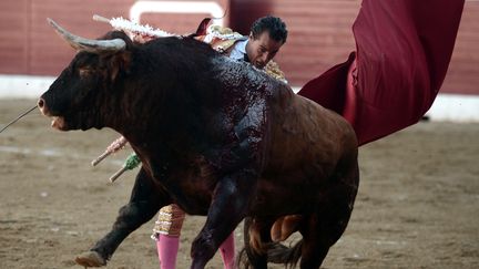 Landes : mort du matador espagnol Ivan Fandiño lors d'une corrida