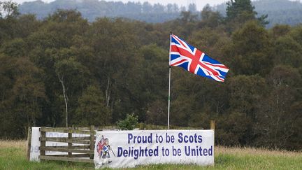 NO - Une banni&egrave;res pos&eacute;e par des Ecossais d&eacute;favorables &agrave; l'ind&eacute;pendance est d&eacute;ploy&eacute;e dans un champ pr&egrave;s de la fronti&egrave;re avec l'Angleterre, le 11 septembre 2014. (LESLEY MARTIN / AFP)