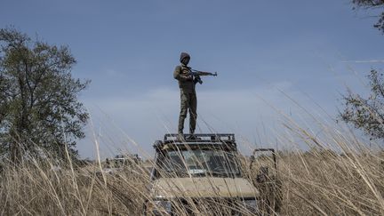 Un ranger dans le parc de la Pendjari, dans le nord du Bénin, le 10 janvier 2018. (STEFAN HEUNIS / AFP)