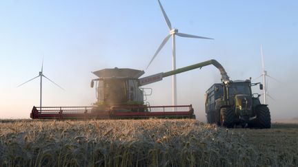 Un agriculteur français récolte du blé, à Rouvray-Saint-Florentin (Eure-et-Loir), en juillet 2017. (JEAN-FRANCOIS MONIER / AFP)