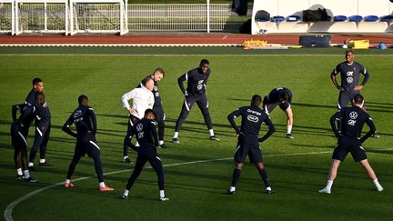 L'équipe de France de football en pleine préparation à Clairefontaine. (ANNE-CHRISTINE POUJOULAT / AFP)