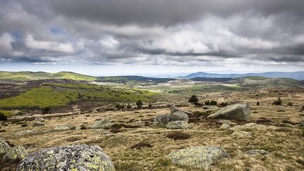 Mont Lozère, Parc National des Cévennes
 (AFP)