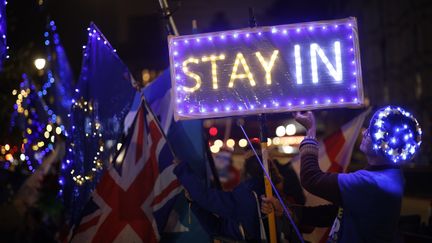 Les manifestations&nbsp;anti-Brexit&nbsp;se multiplient à Londres dans l'attente du scrutin du jeudi 12 décembre 2019 (photo d'illustration du 9 septembre 2019). (TOLGA AKMEN / AFP)