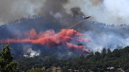 Bormes-les-Mimosas : retour sur le terrible incendie de 2017