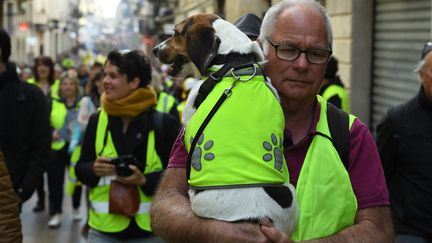 Un homme et son chien vêtus d'un gilet jaune manifestent à Bordeaux (Gironde), le 2 mars 2019. (MEHDI FEDOUACH / AFP)