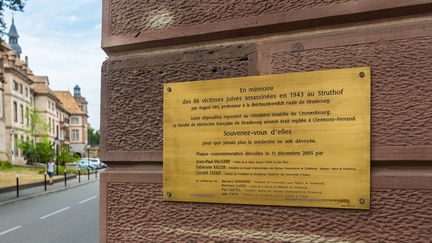 La plaque en m&eacute;moire des victimes de l'anatomiste nazi August Hirt sur la porte d'entr&eacute;e de l'institut de m&eacute;decine l&eacute;gale de Strasbourg (Bas-Rhin). (CITIZENSIDE.COM / CLAUDE  TRUONG-NGOC )