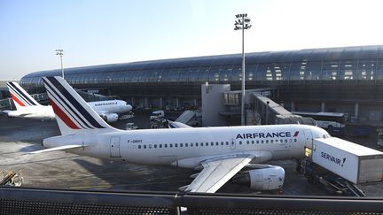 Un avion stationne à l'aéroport de Roissy-Charles-de-Gaulle (Val-d'Oise), le 20 janvier 2017. (BERTRAND GUAY / AFP)