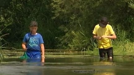 L'art de la pêche à la brouillée