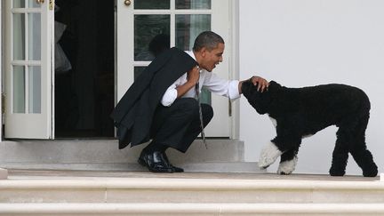 Barack Obama, alors président des Etats-Unis, et son chien Bo à la Maison Blanche, à Washington, le 15 mars 2012. (POOL / GETTY IMAGES NORTH AMERICA / AFP)