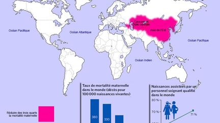 «Depuis 1990, le taux de mortalité maternelle a diminué de 45 % dans le monde; la plus grande partie de cette diminution a eu lieu depuis 2000.  En Asie du Sud, le taux de mortalité maternelle a diminué de 64 % entre 1990 et 2013, il a chuté de 49 % en Afrique subsaharienne.» (Géopolis/ONU)