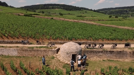 Patrimoine : à la découverte des vignobles et terroirs de la Bourgogne