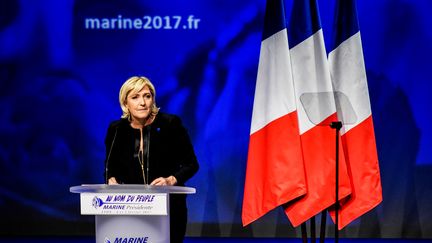 Marine Le Pen, présidente du Front national, candidate à l'élection présidentielle de 2017, en meeting à Lyon, le 5 février 2017. (JEFF PACHOUD / AFP)