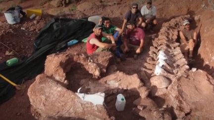 Argentine : découverte d'un fossile de dinosaure géant