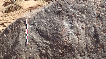 Une pierre sur laquelle sont gravés les plans de deux "cerfs-volants du désert", découverte dans le Jebel az-Ziliyat, près de Sakaka, en Arabie Saoudite (2015) (HANDOUT / SEBAP & CRASSARD/PLOS ONE / AFP)