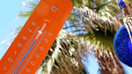 Météo : la canicule s'installe dans le sud de la France