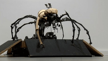 Maquette de l'araignée Kumo (2008) - Compagnie La Machine
 (Culturebox / Capture d&#039;écran)