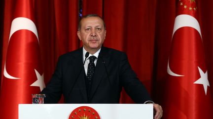 Le président turc&nbsp;Recep Tayyip Erdogan prononce un discours lors d'un dîner de gala, le 27 avril 2017 à Istanbul (Turquie). (KAYHAN OZER / ANADOLU AGENCY / AFP)