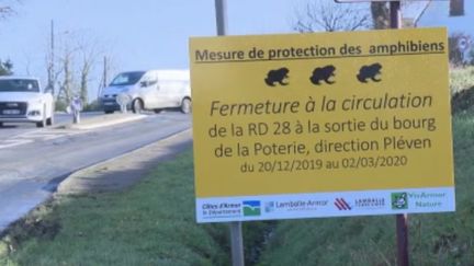 Bretagne : fermeture d'une route pour protéger les batraciens