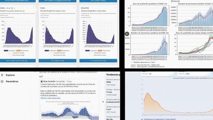 Coronavirus : les précieux graphiques des internautes
