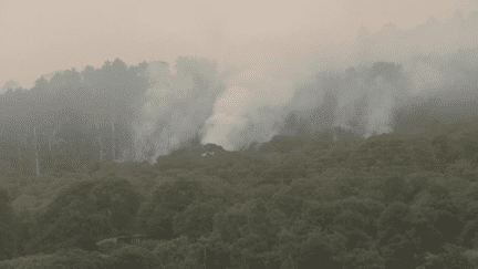 Incendie à Tenerife : difficile bataille contre les flammes (France 3)