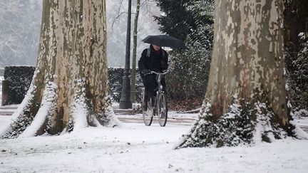 A Strasbourg (Bas-Rhin), le 15 janvier 2013. A partir du 16 janvier au soir, c'est l'ouest du pays qui sera touch&eacute;. (FREDERICK FLORIN / AFP)