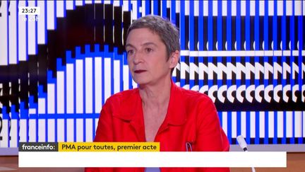 L'avocate Caroline Mécary, candidate pour la Nupes aux élections législatives dans la 7e circonscription de Paris. (FRANCEINFO)