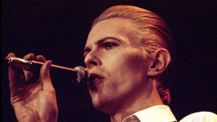 David Bowie sur scène à Copenhague (Danemark) durant le Station to Station Tour le 29 avril 1976, l'année de la sortie du film "L'homme qui venait d'ailleurs" de Nicolas Roeg. (JORGEN ANGEL / REDFERNS / GETTY IMAGES)