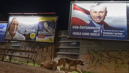 Des affiches électorales à Vienne (Autriche) en vue du second tour de l'élection présidentielle du 4 décembre 2016. (JOE KLAMAR / AFP)