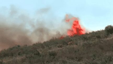 Incendies : un feu s’est déclaré à Cerbère, dans les Pyrénées-Orientales (France 3)