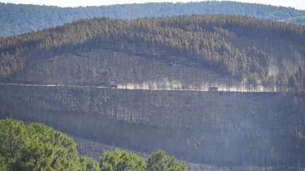 Une forêt brûlée après un incendie près de Bessèges (Gard), le 8 juillet 2022. (SYLVAIN THOMAS / AFP)