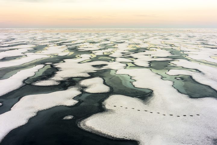 De la glace brisée dans le nord du Canada, le 4 mars 2019. (RAPHAEL SANE / BIOSPHOTO)