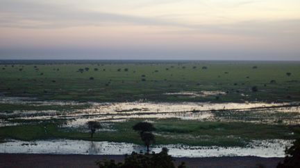 Le parc national Waza (Cameroun), en octobre 2008, d'o&ugrave; sept Fran&ccedil;ais revenaient lorsqu'ils ont &eacute;t&eacute; enlev&eacute;s, le 19 f&eacute;vrier 2013. (MARC PREEL / AFP)