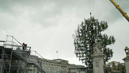 Royaume-Uni : le pays prépare le Jubilé de la Reine (FRANCE 2)