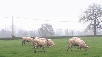 Climat : des agriculteurs adoptent une stratégie plus responsable