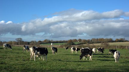 Environnement : focus sur le biogaz