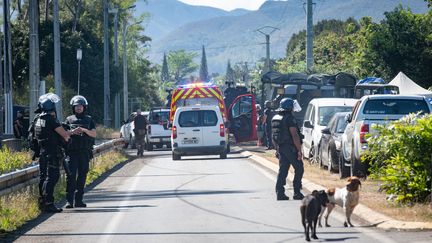 Des gendarmes bloquent une route à Mont-Dore, dans la province Sud de Nouvelle-Calédonie, le 19 septembre 2024. (DELPHINE MAYEUR / AFP)