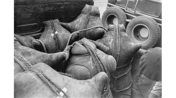 Henri Cartier-Bresson, Mexique, 1934. (MAGNUM PHOTOS / COURTESY FONDATION HENRI CARTIER-BRESSON)