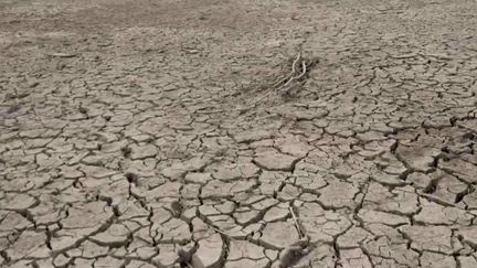 Pyrénées-Orientales : le département en état d'alerte sécheresse