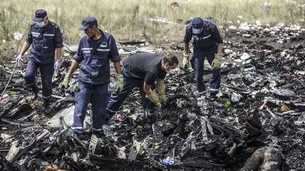 Des secouristes ukrainiens recherchent, le 21 juillet 2014, des corps parmi les d&eacute;bris de l'avion de Malaysia Airlines qui s'est &eacute;cras&eacute; dans l'est de l'Ukraine. (BULENT KILIC / AFP)