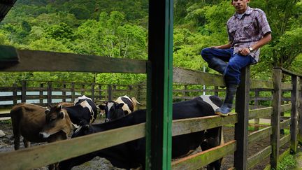 Nelson Lanuza pose devant la ferme laiti&egrave;re de l'universit&eacute; La Bastilla &agrave; Jinotega (Nicaragua). Il&nbsp;est le premier de sa famille &agrave; aller &agrave; l'universit&eacute;.&nbsp; (REZA / WEBISTAN)