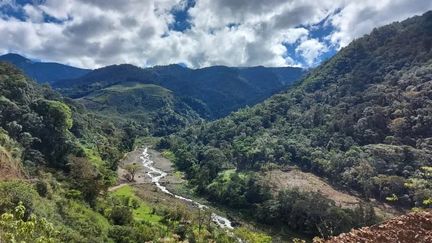 Le Costa Rica est souvent présenté comme un "État&nbsp;vert", un "champion de la biodiversité".&nbsp; (JULIE PIETRI / RADIO FRANCE)