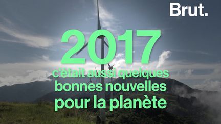 Bonnes nouvelles 2017