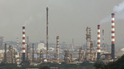 Le complexe pétrolier d'Exxon Mobil à Singapour, photographié le 28 janvier 2008. (ALPHONSUS CHERN / AFP)