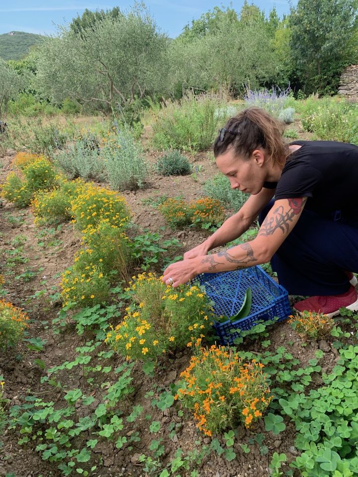 Amélie Darvas à la cueillette dans son potager. (RF / BERNARD THOMASSON)