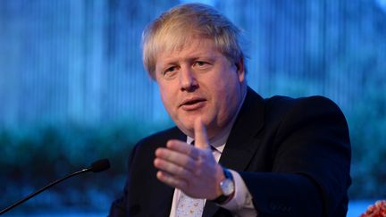 Boris Johnson, le ministre des Affaires étrangères britannique, lors d'une conférence de presse&nbsp;à New Delhi (Inde), le 18 janvier 2017.&nbsp; (SAJJAD HUSSAIN / AFP)